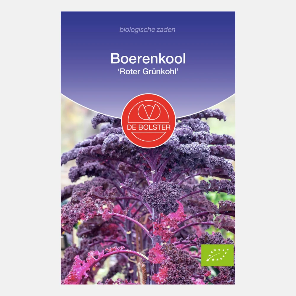 Boerenkool 'Roter Grünkohl' BIO - 51Dnspod | Smaakvolle damp – Verzendkosten vrij vanaf 40€ Boerenkool 'Roter Grünkohl' BIO - 51Dnspod | Smaakvolle damp – Verzendkosten vrij vanaf 40€