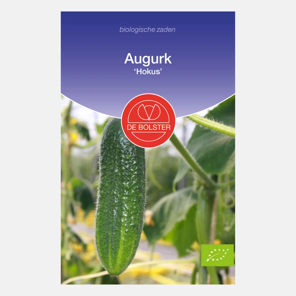 Augurk 'Hokus' BIO - 51Dnspod | Smaakvolle damp – Verzendkosten vrij vanaf 40€ Augurk 'Hokus' BIO - 51Dnspod | Smaakvolle damp – Verzendkosten vrij vanaf 40€