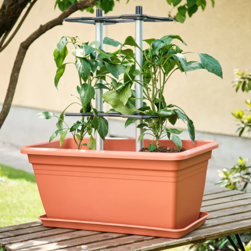 Chili Buddy - Klimsteun voor peperplant - 51Dnspod | Smaakvolle damp – Verzendkosten vrij vanaf 40€ Chili Buddy - Klimsteun voor peperplant - 51Dnspod | Smaakvolle damp – Verzendkosten vrij vanaf 40€