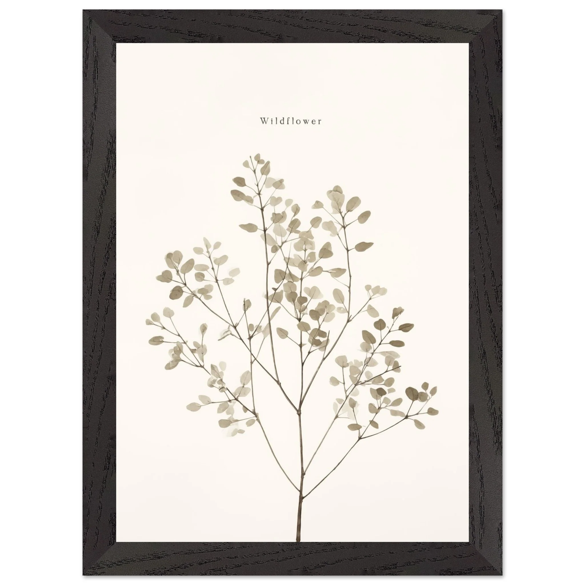 Artfulprints Poster met Lijst Wildflower - A4 21x29.7 cm - Taupe - 51Dnspod | Smaakvolle damp – Verzendkosten vrij vanaf 40€ Artfulprints Poster met Lijst Wildflower - A4 21x29.7 cm - Taupe - 51Dnspod | Smaakvolle damp – Verzendkosten vrij vanaf 40€