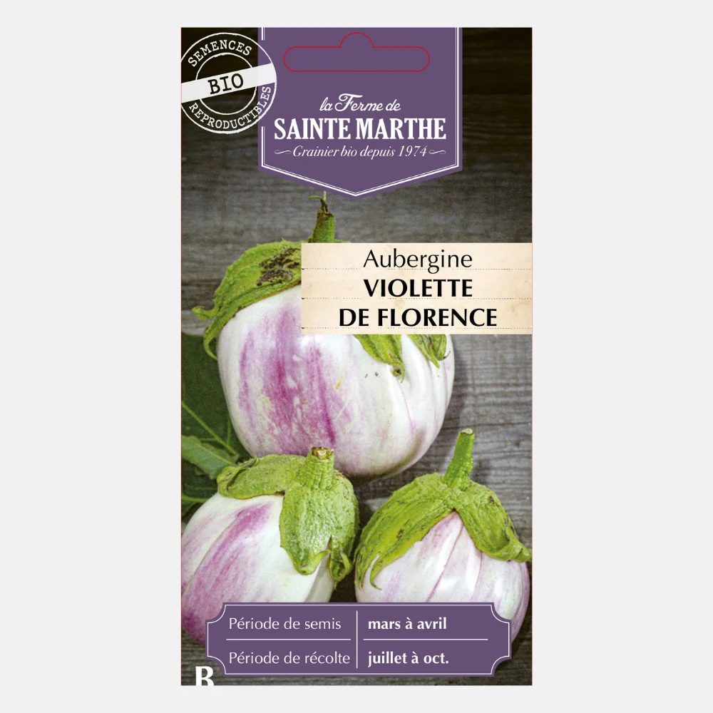 Aubergine 'Violetta di Firenze' BIO - 51Dnspod | Smaakvolle damp – Verzendkosten vrij vanaf 40€ Aubergine 'Violetta di Firenze' BIO - 51Dnspod | Smaakvolle damp – Verzendkosten vrij vanaf 40€