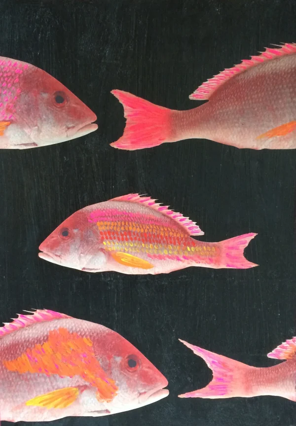 Catchii poster Fluor visjes - meerkleurig - 297x210 cm - 51Dnspod | Smaakvolle damp – Verzendkosten vrij vanaf 40€