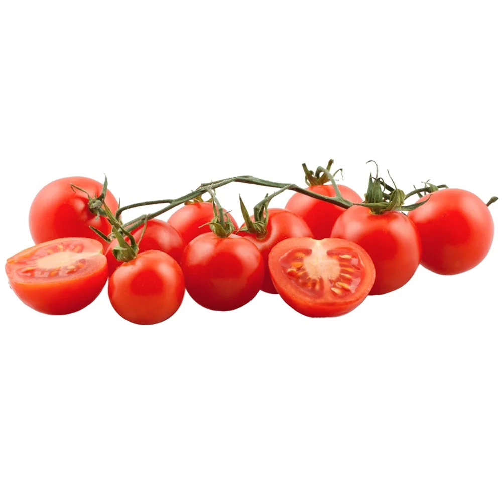 Biologische Cherry Tomaatjes 250 gram - 51Dnspod | Smaakvolle damp – Verzendkosten vrij vanaf 40€ Biologische Cherry Tomaatjes 250 gram - 51Dnspod | Smaakvolle damp – Verzendkosten vrij vanaf 40€