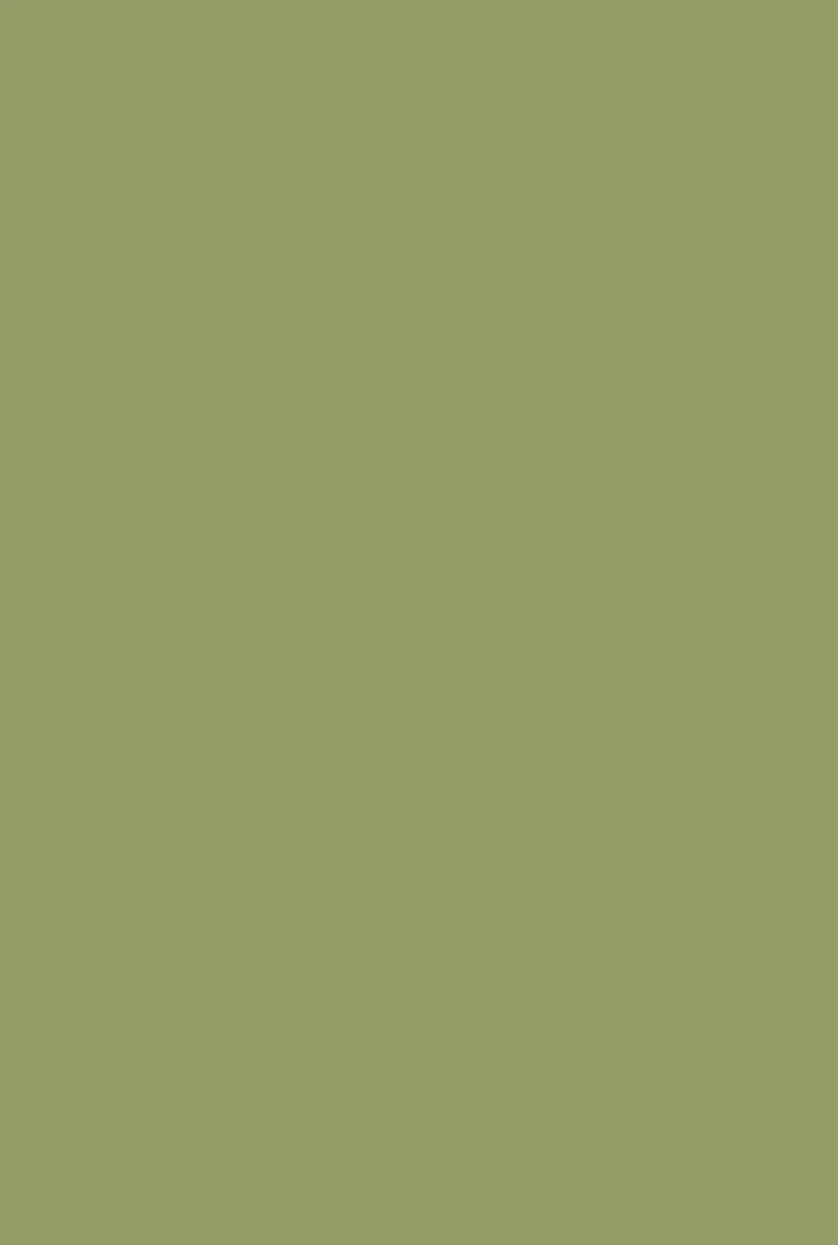 Casein Distemper | Olive no. 13 - 51Dnspod | Smaakvolle damp – Verzendkosten vrij vanaf 40€ Casein Distemper | Olive no. 13 - 51Dnspod | Smaakvolle damp – Verzendkosten vrij vanaf 40€