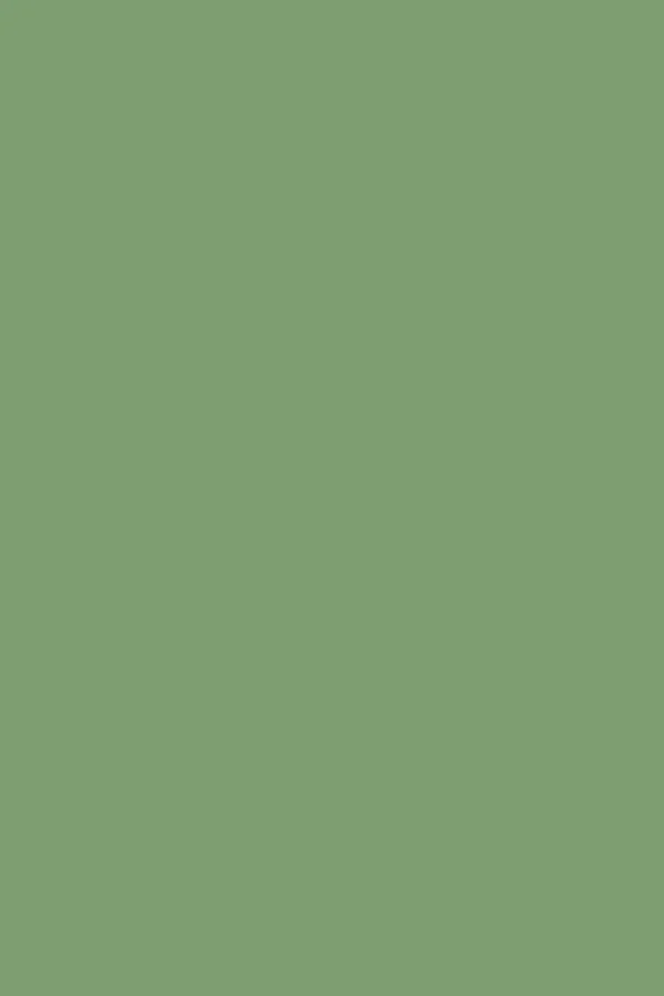 Casein Distemper | Folly Green no. 76 - 51Dnspod | Smaakvolle damp – Verzendkosten vrij vanaf 40€